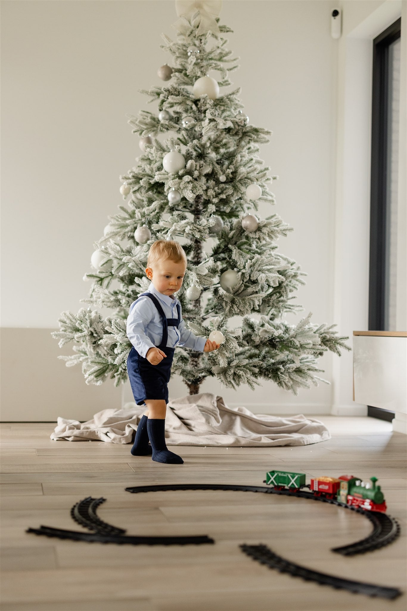 SHORT | Santa NAVY