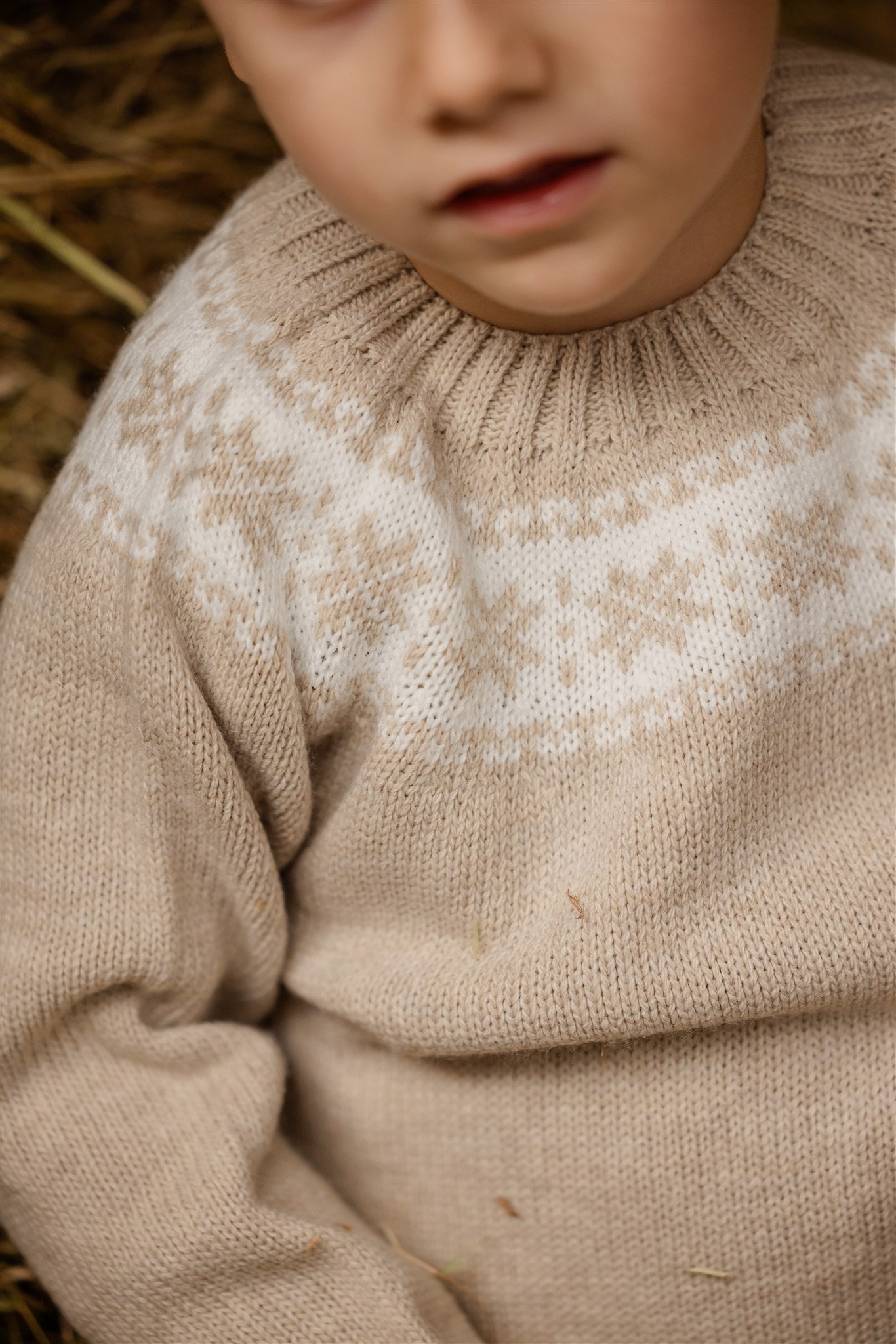 SWEATER | Lewis